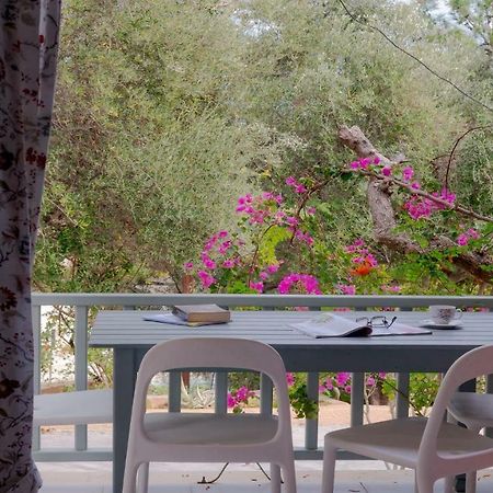 Mihaila Bungalows Spartià Extérieur photo